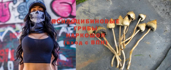 гидропоника Аркадак