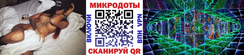 Псилоцибиновые грибы Psilocybine cubensis Серафимович